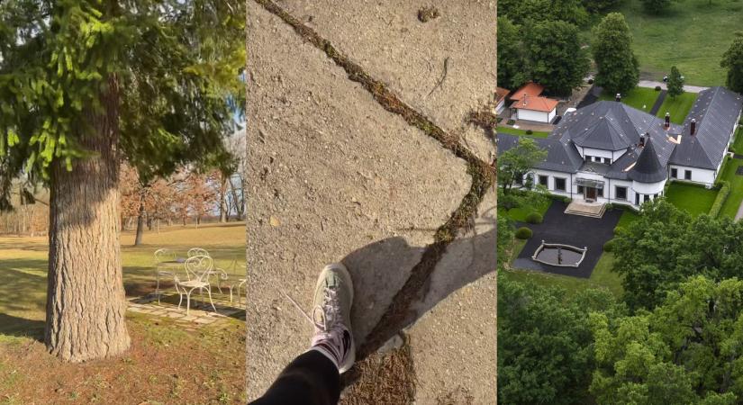 Orbán Ráhel az újonnan szerzett Széchenyi-kastélyuk körül futja az ünnep utáni távokat