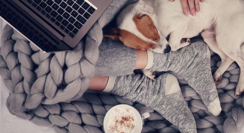 Hírek, időjárás, közlekedés: minden infó egy helyen