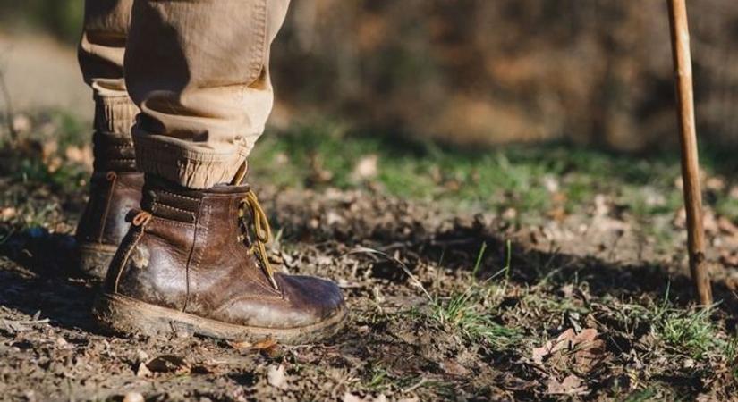A Maros-ártér télen sem alszik, különleges látványban lehet része a kirándulóknak
