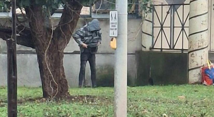 Ellepték a kularémek Szigetvárt: gyomorforgató, mit művelnek