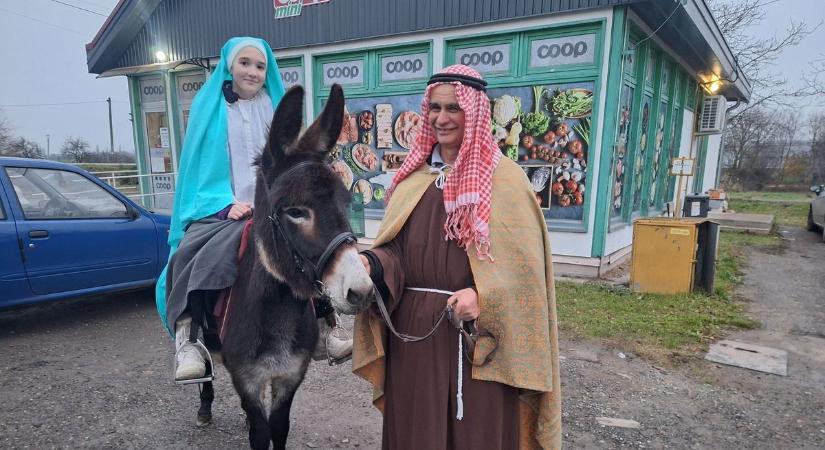 Szilveszteri szamárság: Pipacs, a Rózsa Tanya Élményfarm csacsija élménybeszámolót tartott