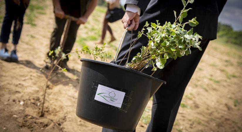 Közös ügyünk az ország zöld vagyonának megőrzése