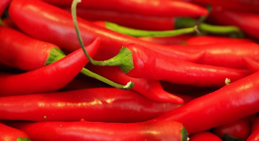 Rájárt a rúd idén a fűszerpaprika termelőkre