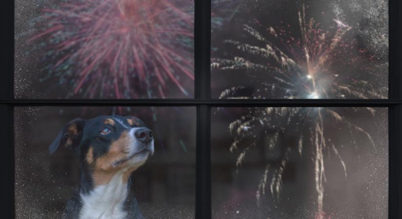 Figyelmeztetik a magyarokat: hatalmas pánik alakulhat ki szilveszterkor