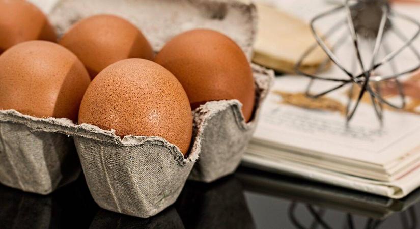 A tojásba is képesek bemászni ezek a férgek, ügyeljünk a jelekre