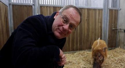 Navracsics bejelentette, hogy új konzultációt indít januárban a kormány