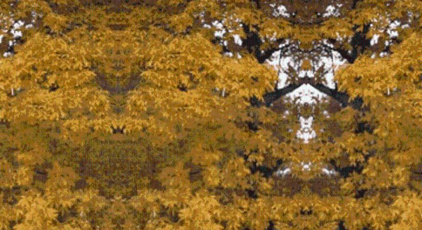 Fagyos, szeles idővel ér véget az év Vásárhelyen