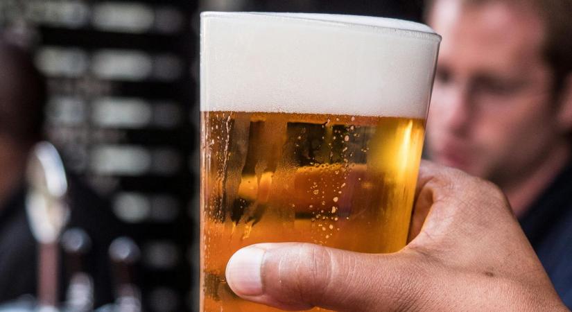 TSZ-büfétől kézműves sörig – egy balatoni családi főzde útja