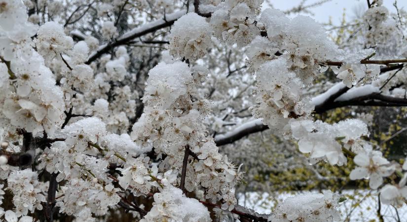 Elengedés és megbocsátás