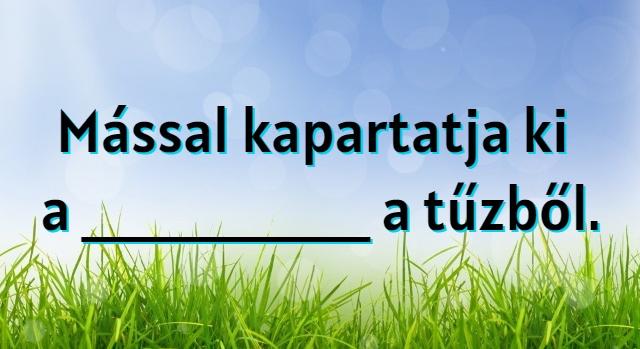 Napi közmondás feladat: Régi bölcsesség, ami ma is igaz a munkahelyeken.