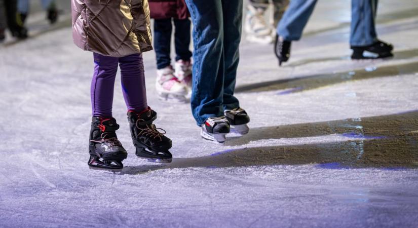 Múltidéző: Hol van már a tavalyi hó?