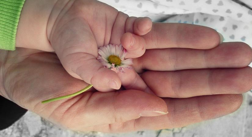 Megválasztotta a közmédia az Év szavát