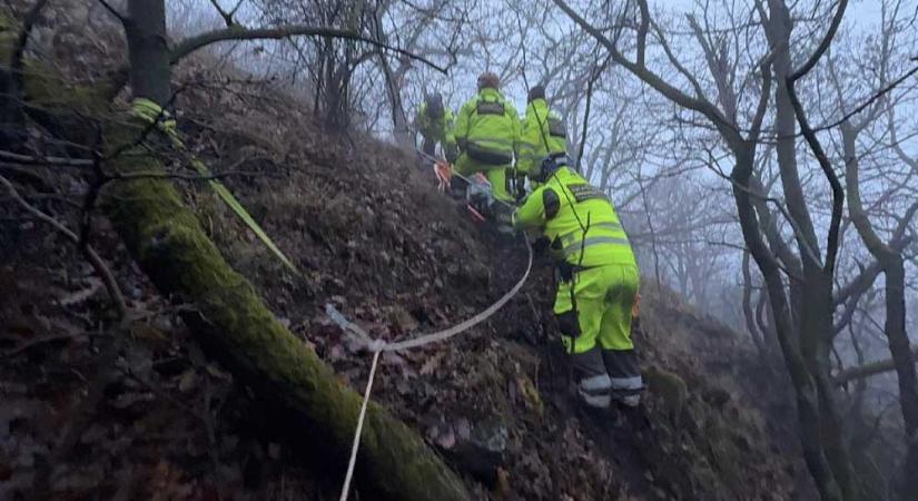 Szentendrén, a sziklák között találtak meg a hetek óta eltűntként keresett férfi holttestét