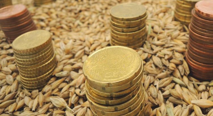 Olcsóbb hitel a pályázatokhoz: így működik a kamattámogatás