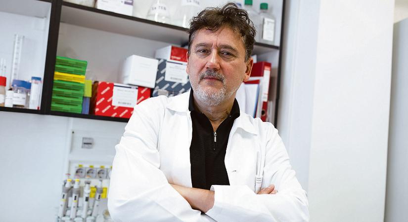 Magyar exodus – Miért mennek el a magyar kutatók?