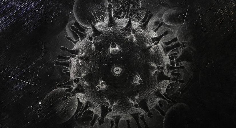 Újra kitört az ebola – fokozott óvintézkedéseket tesznek