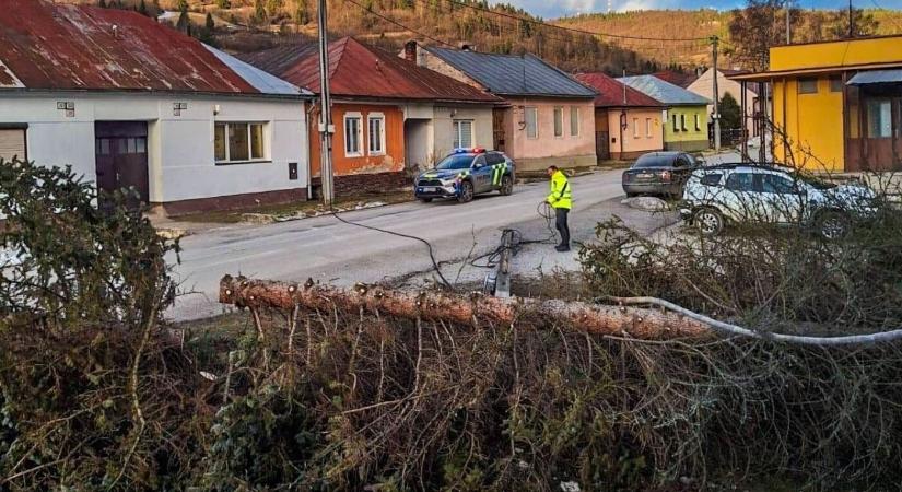Fákat csavart ki az orkánerejű szél, háztartások ezrei maradtak áram nélkül
