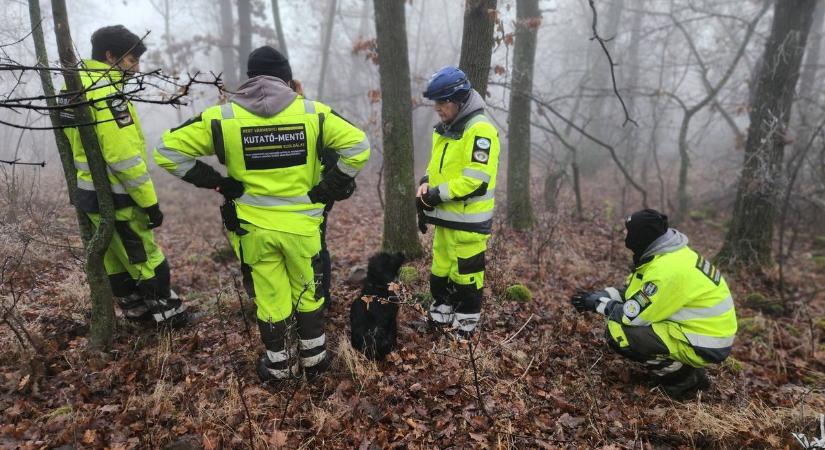 Az egész ország kereste a Budapestről eltűnt férfit, a Pilisben találták meg a holtestét