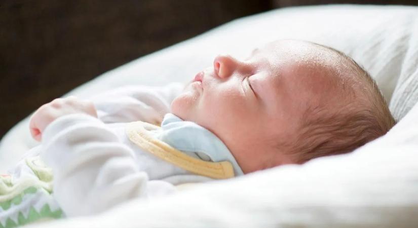 Koncz Zsófia: Vándor bölcső indult útjára – új életet ringat az összefogás