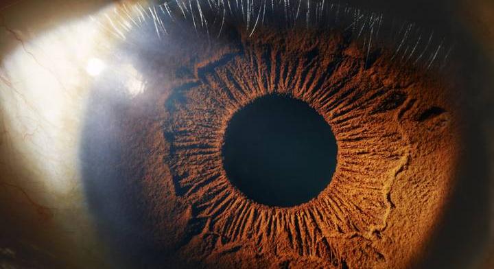 Rengeteget javíthat a szemed egészségén, ha ezeket az ételeket eszed