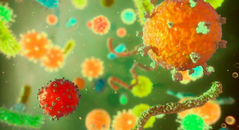 Gyógyíthatatlan betegség pusztít, most is szezonja van, te is elkaptad már, a tudósok sem tudják mit kell csinálni vele