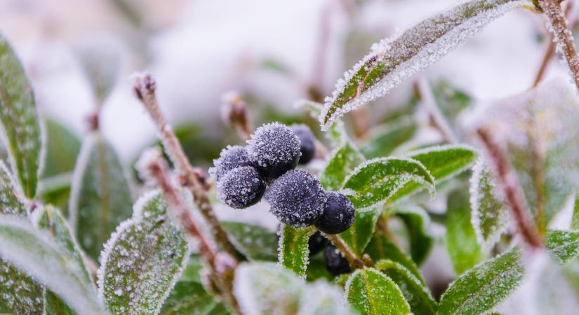 Kőkemény tél csap le az országra: havazás, viharos szél és fagy – mutatjuk, mikor mire számíthatsz