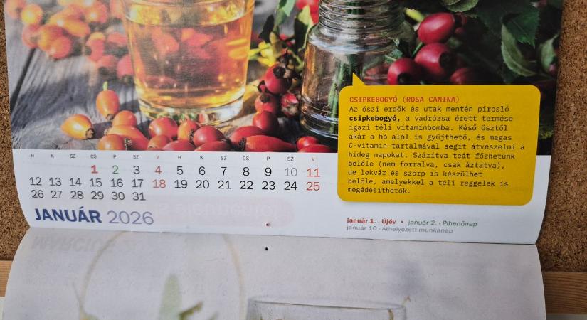 Elő a naptárakkal, már most tervezd meg a 2026-os hosszú hétvégéket! Sokat pihenhetsz jövőre is