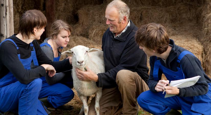 Új korszak kezdődött itthon: így újították meg az agrárképzéseket
