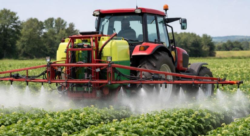 Hatóanyag-kivonások után: mi marad a burgonyatermesztő kezében?