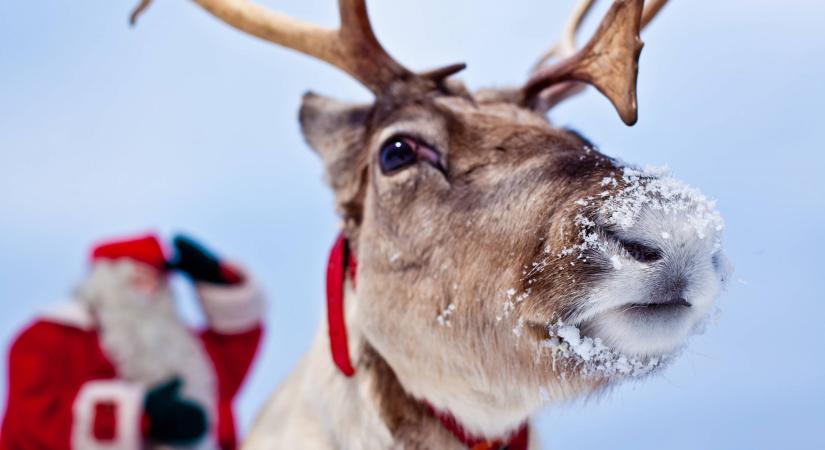Leltár és 2026-ra szóló újévi jókívánság Gecse Gézától!