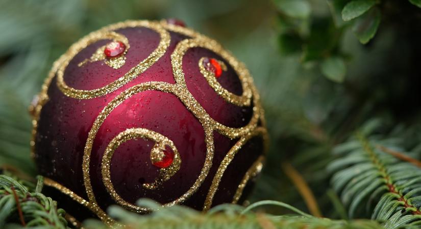 Indul a Famustra – Szavazhatunk a legszebb, legegyedibb, legcukibb karácsonyfákra!