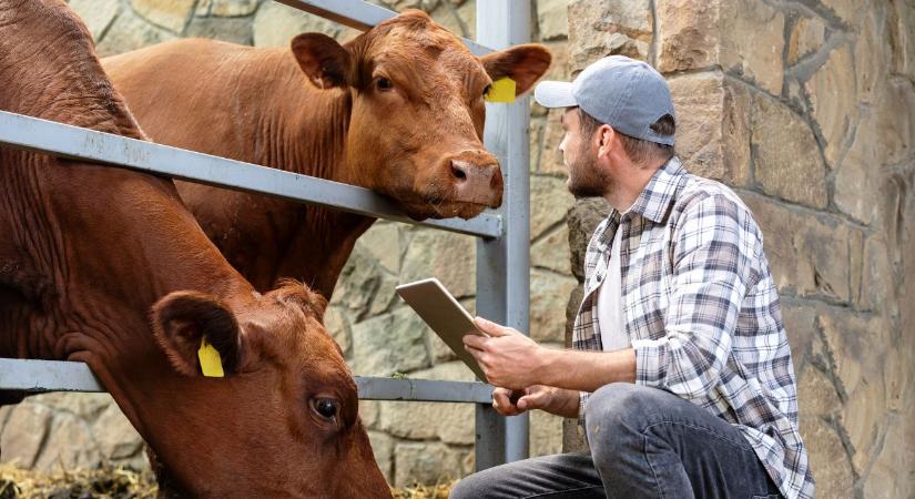 Versenyképes tudás, vonzó pálya: új lendületben az agrárszakképzés