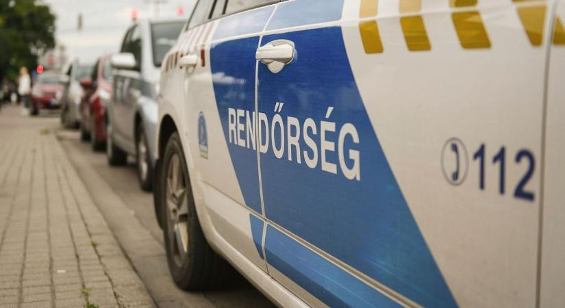 Térfigyelő kamerák buktatták le a karácsonyfa-tolvajt Hevesben