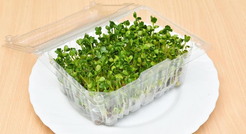 A legjobb téli „kamrakert” ötletek – csírák, mikrozöldek