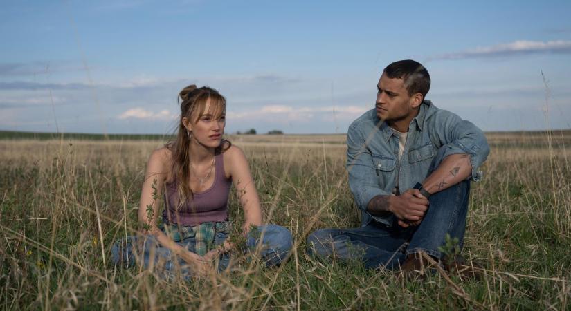 Colleen Hoover szédítő karriert csinál Hollywoodban