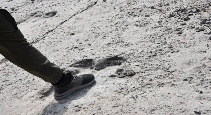 Tudományos felfedezések 2025-ben, amikre még évtizedekig emlékezni fogunk