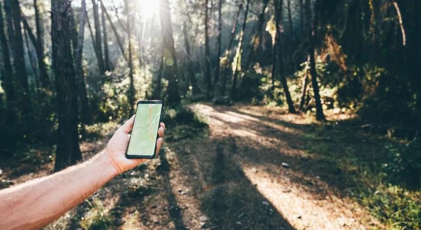 Minden rendőr egy csabai édesanyát keresett