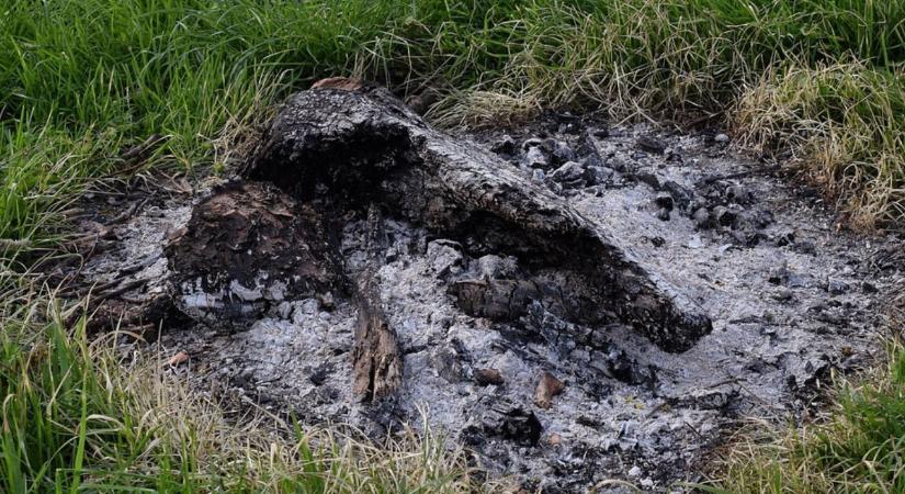 Hamu használata télen a kertben – hova TILOS szórni?