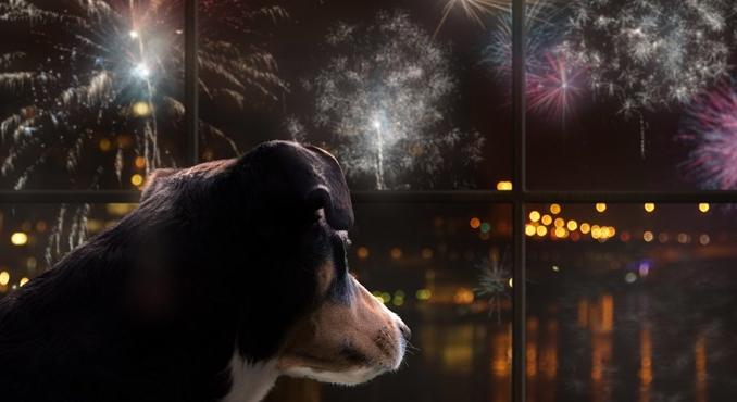 Felére csökkentette a Fővárosi Közgyűlés a szilveszteri tűzijáték időtartamát