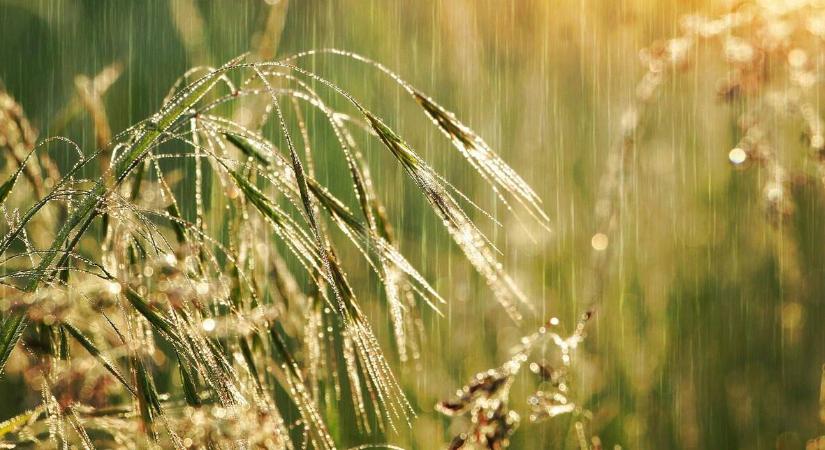 Döbbenetes felismerés született az esőről, ez segít elkerülni az aszályokat a jövőben