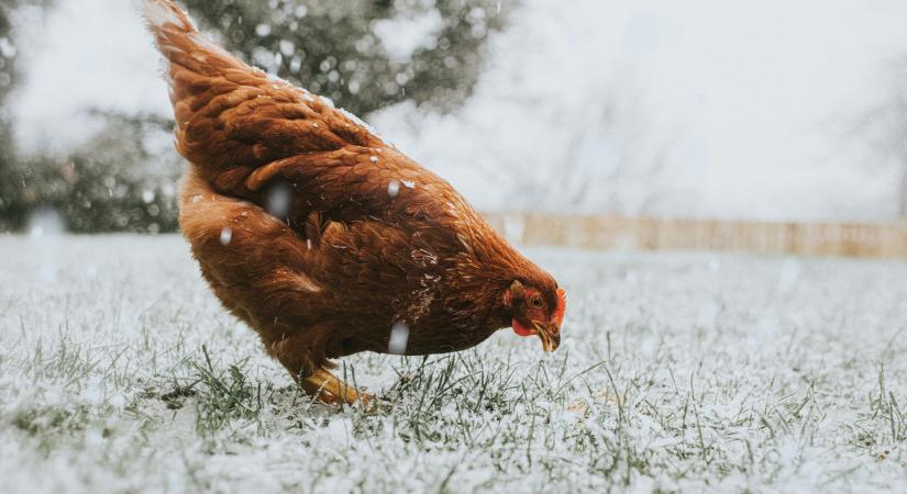 Arktikus hideg tör be Szlovákiába: szilveszterkor a déli tájakat is hótakaró fedheti be