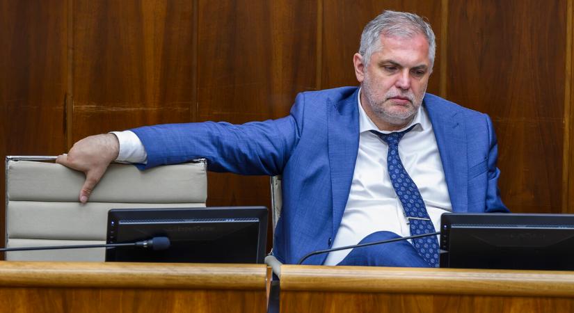 Michelko: Az SNS nem fogja megbuktatni a kormányt