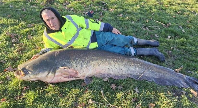 Dermesztő téli fogás a Tiszán: kétméteres harcsát vitt partra a rutinos pergetőhorgász