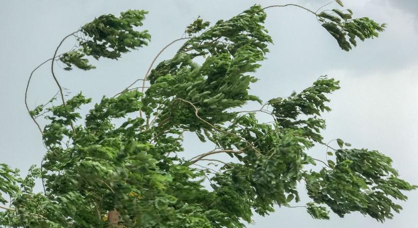 Mutatjuk, mire készüljön az év utolsó napján – és mennyire öltözzön fel