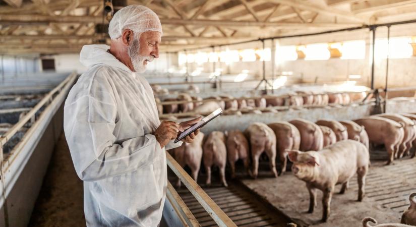 Fontos hírt közöltek a járványhelyzetről: ez történik most a magyar határnál