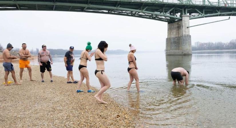 Jeges újévi csobbanás a Dunában – jótékonyságért is merülnek az esztergomi jegesmedvék