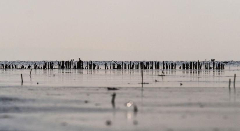 Sürgős tájékoztatót adtak ki a Tisza-tóról: ezt tilos megtenni a tározónál