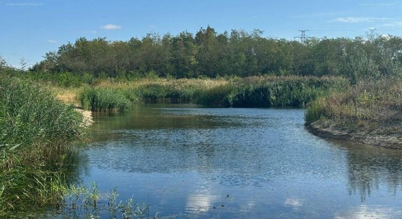 38 millió egy tóért - Különleges hirdetésre bukkantunk Vasban - fotók