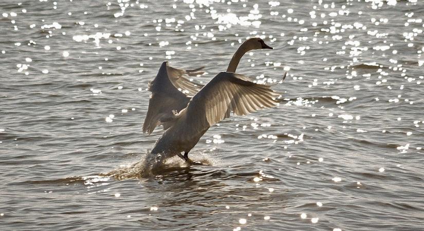 Vissza nem térítendő támogatás is igényelhető januártól a 2,5 százalékos turisztikai hitel mellé
