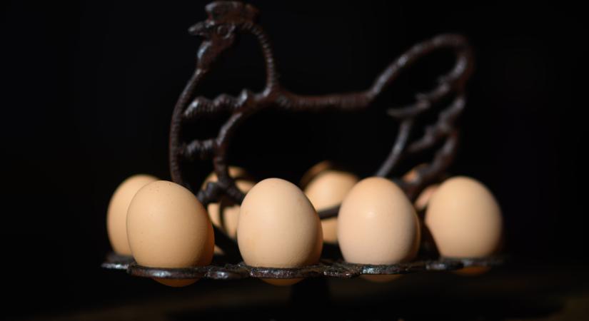 Hogyan hámozzuk meg a főtt tojást 5 másodperc alatt?